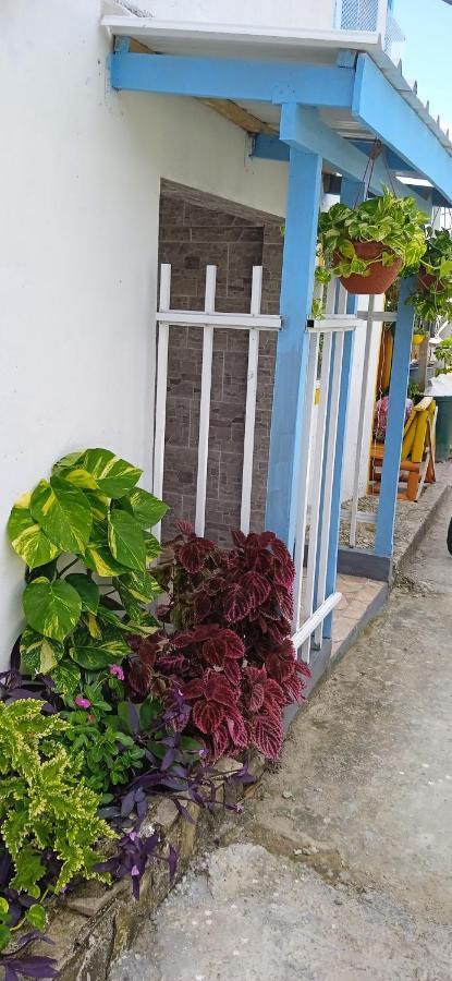 Posada Aleeny Providencia  Kültér fotó