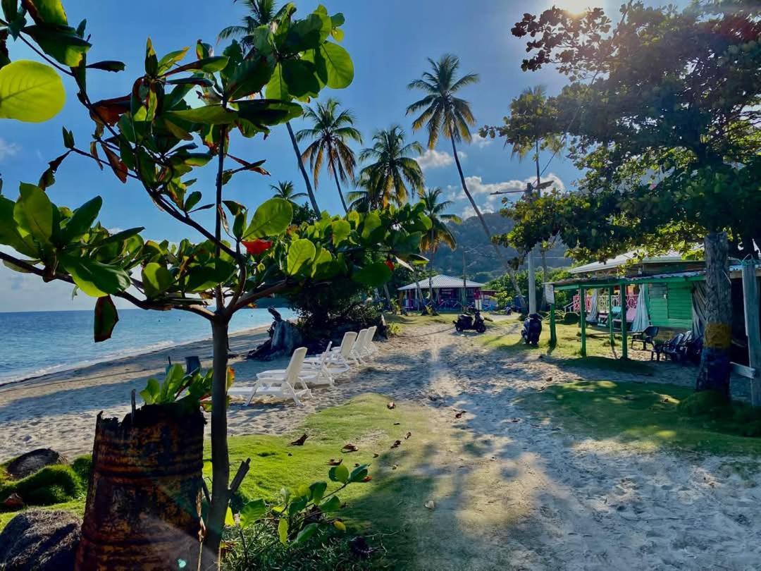 Posada Aleeny Providencia  Kültér fotó